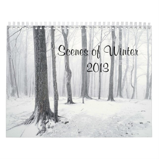 Escenas del calendario invernal 2013 (Tapa)
