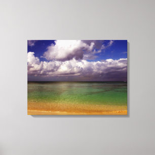 Escenas inspiradoras de la playa del arte de Cavas