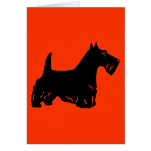 Escocés Terrier