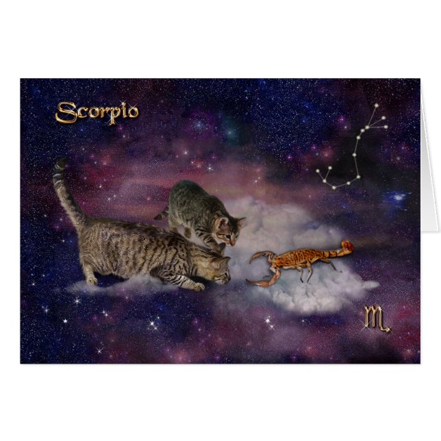 Escorpio para los amantes del gato (Anverso (Horizontal))