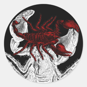 Escorpión rojo - Pegatina