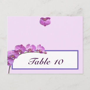 Escribir la tarjeta Orquídeas púrpuras en el stem