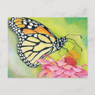 Escribir postales a la Brigada Demócrata-Mariposa