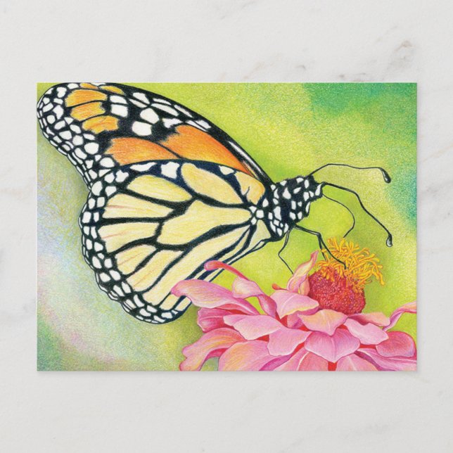 Escribir postales a la Brigada Demócrata-Mariposa (Anverso)