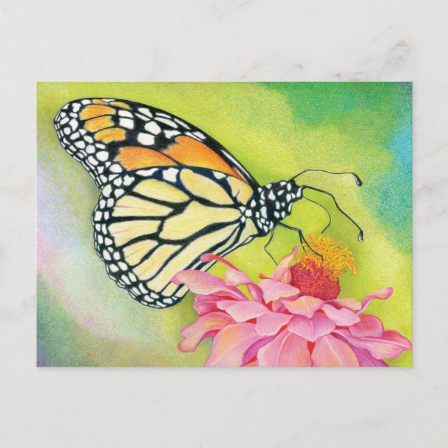 Escribir postales a la Brigada Demócrata-Mariposa (Anverso)