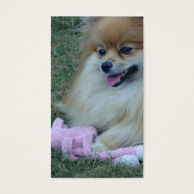 Escrituras Divertidas: Salmo 37:4 (Frente)