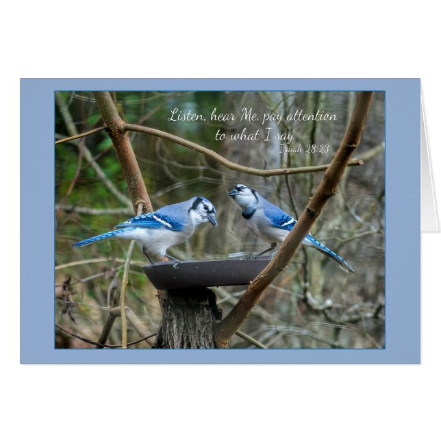 Escucha, escucha tarjeta de notas Blue Jays Paraka (Anverso (Horizontal))