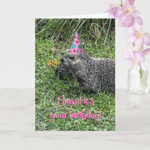 Escuché que es tu cumpleaños, tarjetas de marmota