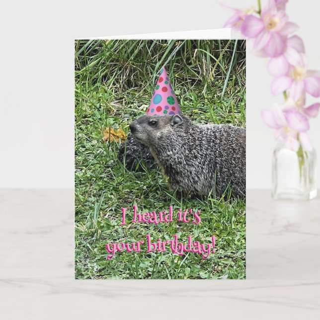 Escuché que es tu cumpleaños, tarjetas de marmota (Orquídea)