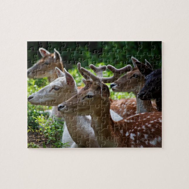 Escucho el rompecabezas (Horizontal)