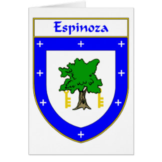Escudo de armas de Espinoza/escudo de la familia