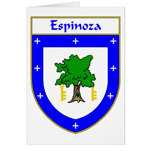 Escudo de armas de Espinoza/escudo de la familia (Frente)