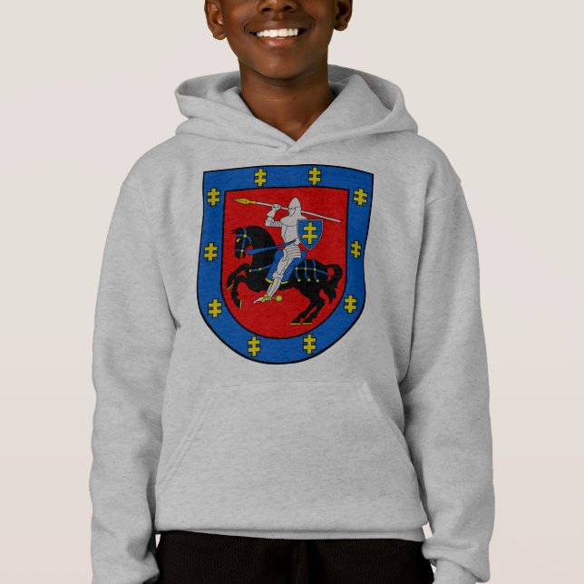 Escudo de Armas del Condado de Vilnius (Anverso)
