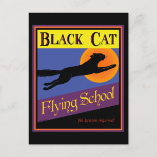 Escuela de Vuelo de Gato Negro Tarjeta Postal Vint