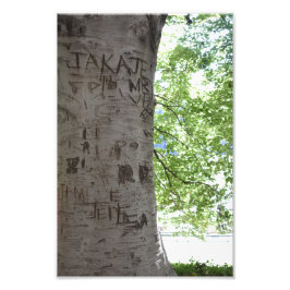 Esculpida en una fotografía de la naturaleza de un