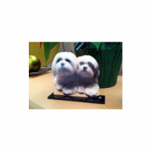 Escultura de acrílico de encargo de alta calidad