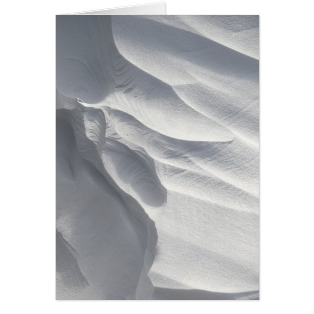 Escultura de deriva de nieve en invierno (Frente)