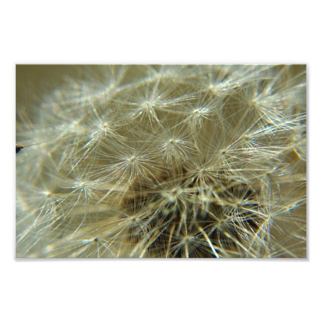 Esfera Fluffy - Foto (Frente)