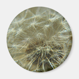 Esfera Fluffy - imán