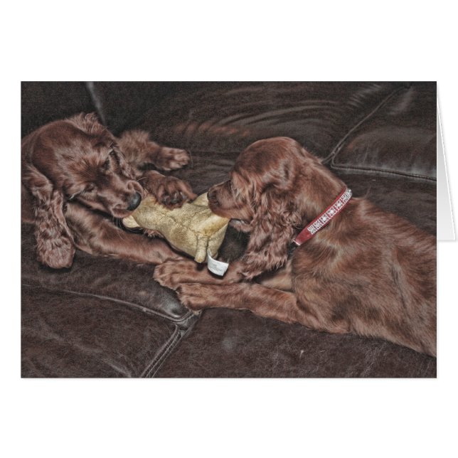 Esfuerzo supremo (Anverso (Horizontal))