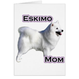 Eskimo American Dog Mom 4