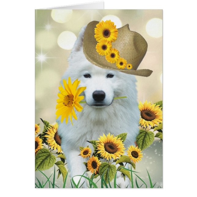 Eskimo Daisy Dog (Frente)