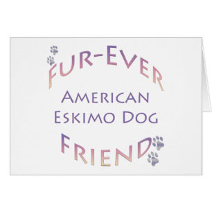 Eskimo Dog Furever
