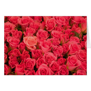 ESLOVENIA, Ljubljana: Mercado público de Liubliana