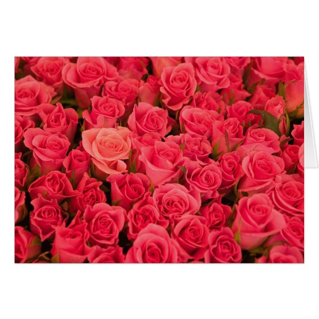 ESLOVENIA, Ljubljana: Mercado público de Ljubljana (Anverso (Horizontal))