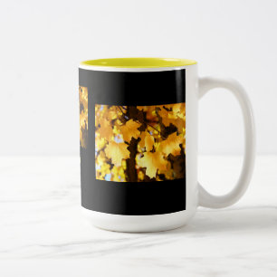 ¡Eso es correcto! Tazas Humor Preciosas Hojas de O