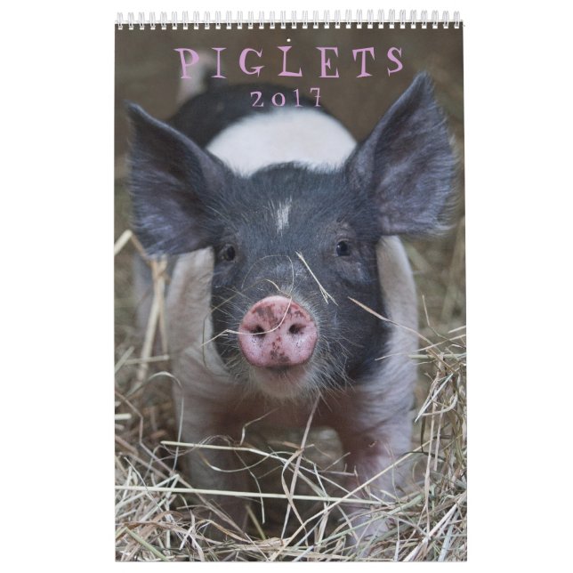 Esos cochinillos - calendario de pared de 2017 (Tapa)