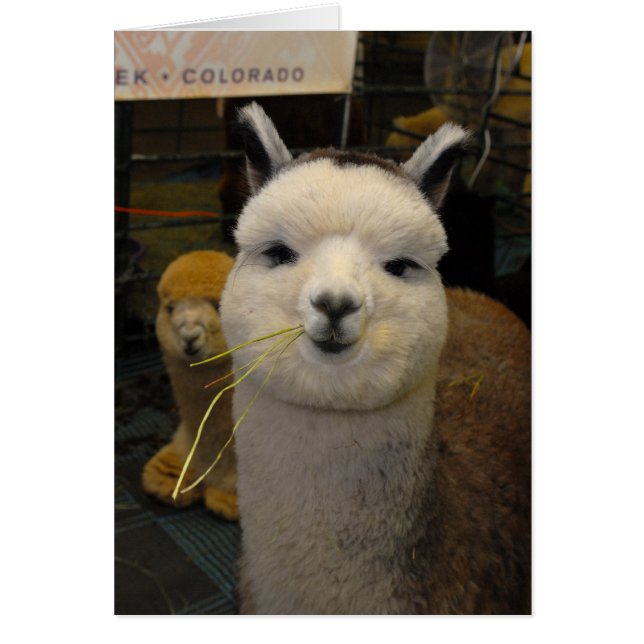 ¡Esos ojos! (Frente)