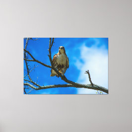 ESOS OJOS 60 X 40 IMPRESIÓN EN LIENZO ENVUELTO