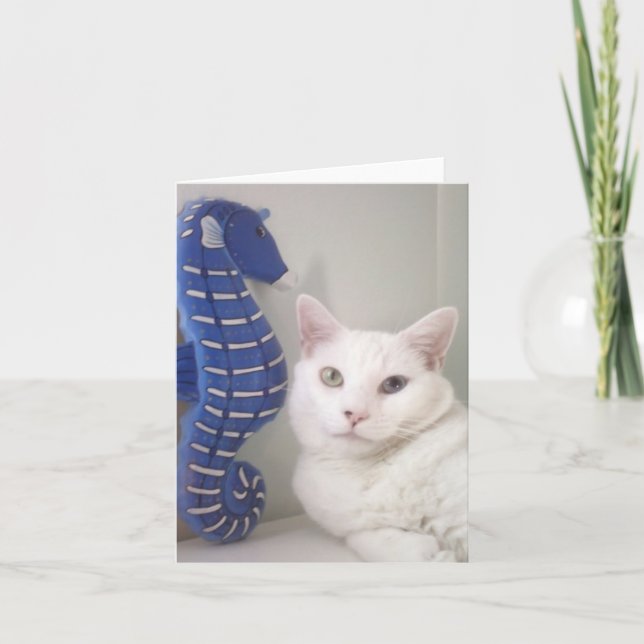 Espacio en blanco de la tarjeta de felicitación (Anverso)