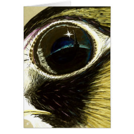 Espacio en blanco del ojo del peregrino