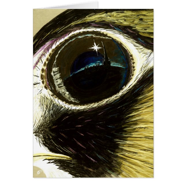 Espacio en blanco del ojo del peregrino (Frente)