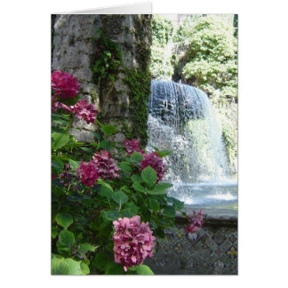 Espacio en blanco floral de la cascada toda la