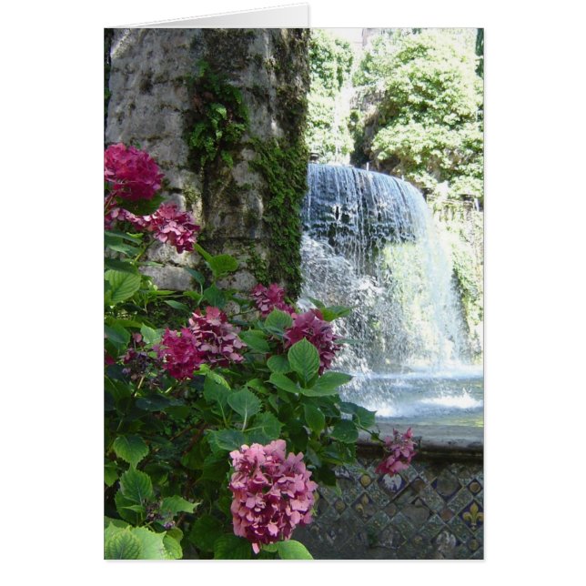 Espacio en blanco floral de la cascada toda la (Frente)