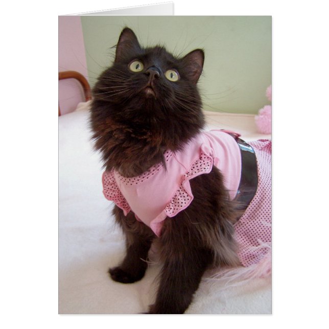 espacio en blanco para el mensaje (Frente)