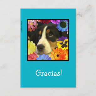 Español: Tarjeta de agradecimiento / ¡Gracias!