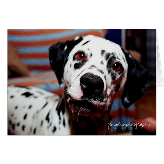 espantografía de aguijales (Anverso (Horizontal))