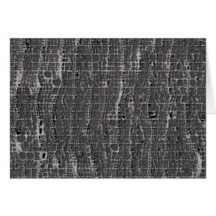 Especie De Cemento Gris