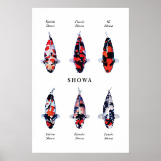 Especies posters de peces koi japoneses: Showa