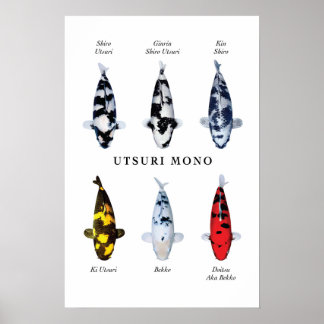 Especies posters de peces koi japoneses: Utsurimon
