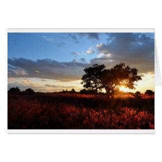 Espectacular atardecer africano