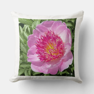 Espectacular peón rosa en almohada de tiro.