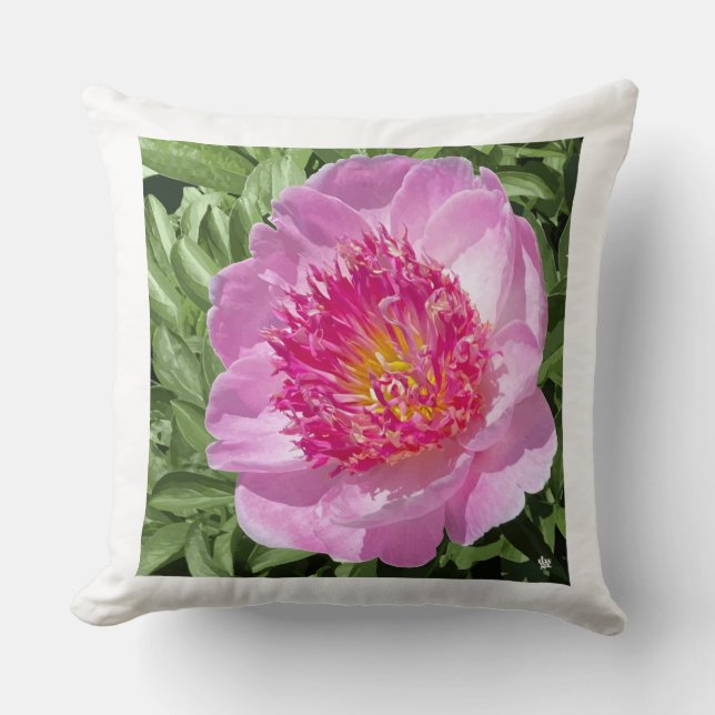Espectacular peón rosa en almohada de tiro. (Anverso)