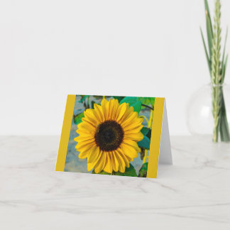 Espectacular tarjeta girasol