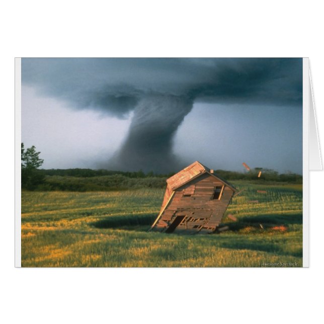 Espectáculo asombroso (Anverso (Horizontal))