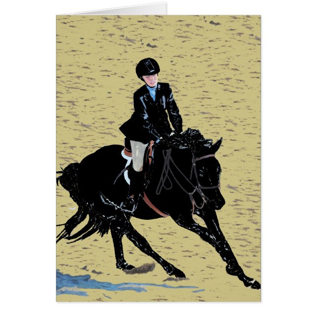 Espectáculo de Caballos Lindos Ecuestre (Frente)